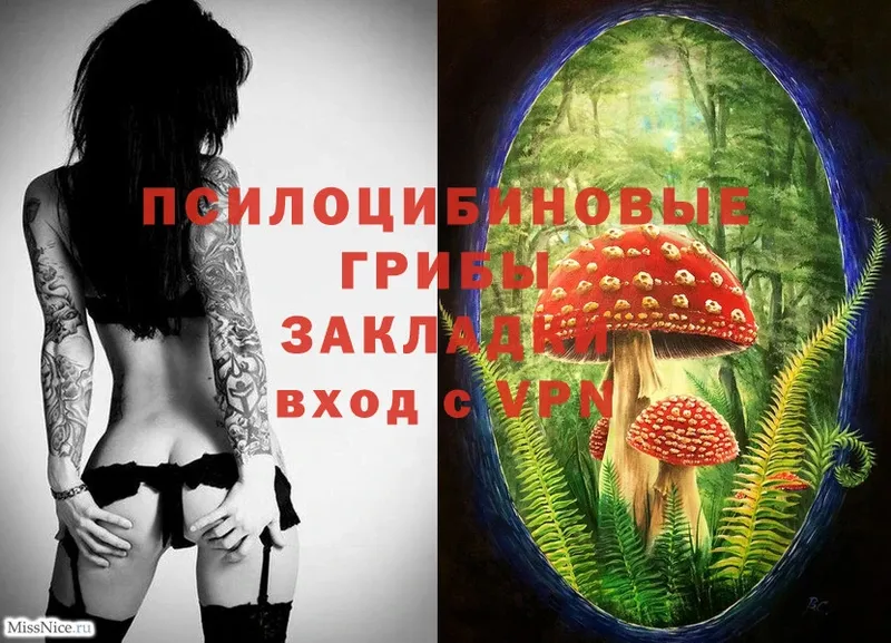 Галлюциногенные грибы Psilocybine cubensis  даркнет сайт  Красный Кут 